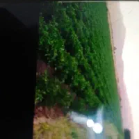 چهارهکتارزمین-کشاورزی-برای-سیر