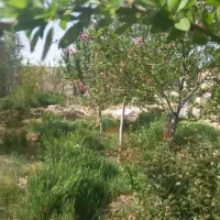 فروش-چهار-دیواری