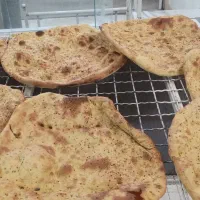 شاطر توری