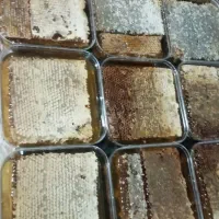 عسل طبیعی ۲۹۰ هزار|خوردنی و آشامیدنی|محمدیه-قزوین, |دیوار