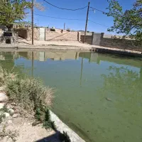 فروش-خانه-باغ-باتمام-امکانات