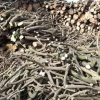 لیمو پرتقال تر و خشک نارنج تر و خشک