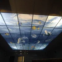 سقف کاذب|خدمات پیشه و مهارت|تهران, فلاح|دیوار