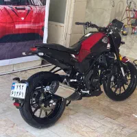 بنلی لئوچینیو ۲۵۰ خشک ۱۴۰۲