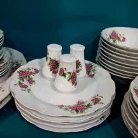 نمک پاش.. گلسرخ(معاوضه کالا به کالا) عضو کانالشو