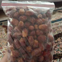 خرما آلوچه ای /زاهدی / آجیلی