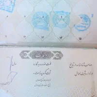 شناسنامه به اسم امیر حسین علی پور خشاب گمشده