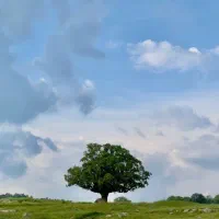 اجاره پارکینگ