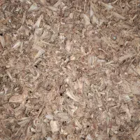 غذای سگ(پخته و خام)|لوازم جانبی حیوانات|پاکدشت, پاکدشت (مامازند)|دیوار