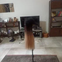 کلاه گیس کلاهدار|آرایشی، بهداشتی، درمانی|فردیس, شهرک وحدت|دیوار