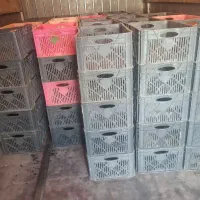 سبد مرغ فروشی