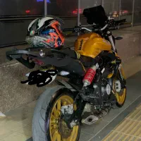 بنلی ۳۱۰ جفت ۱۴۰۱ طلایی