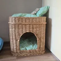 جای خواب گربه