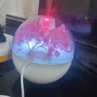 دستگاه بخار|آرایشی، بهداشتی، درمانی|بناب, |دیوار