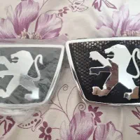 ارم جلو پنجره پارس