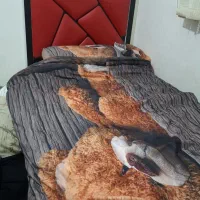 تخت خواب پسرانه/دخترانه با تشک