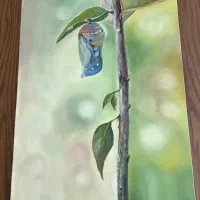 تابلو های رنگ روغن طرح گل و پروانه|تابلو، نقاشی، عکس|تهران, درکه|دیوار