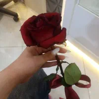 فتوشاپ و ادیت،کارهای کامپیوتری