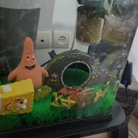 آکواریوم سالم در حد نو|ماهی|کومله, |دیوار