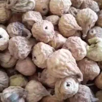 انجیر استهبان|خوردنی و آشامیدنی|شیراز, فضل‌آباد|دیوار