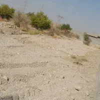 زمین باغچه