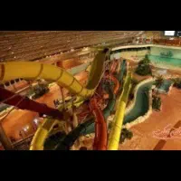 بلیط اب و تاب|بلیت ورزشی|قم, چهل درخت‎|دیوار