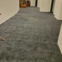 پالاز موکت نمایشگاهیی|موکت|تهران, مولوی|دیوار