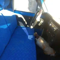 زامیاد 98|خودرو سواری و وانت|سراوان, |دیوار