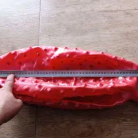 توپ جیم بال|تجهیزات ورزشی|تالش, هشتپر|دیوار