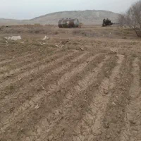 اجاره ۷۲ آب ۸۰هکتار زمین کشاورزی|اجارهٔ دفتر صنعتی، کشاورزی، تجاری|جوادآباد, |دیوار