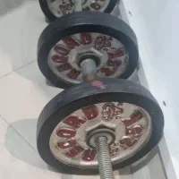 دمبل