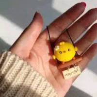 آویز ماشین|بدلیجات|شیراز, عادل آباد|دیوار