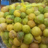 آب لیمو طبیعی ترشی جات