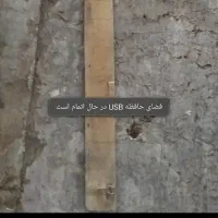 چوب|لوازم جانبی حیوانات|ایلام, |دیوار