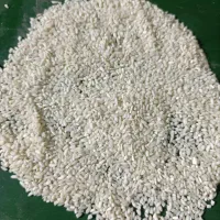 برنج سر لاشه عنبربو