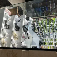 ویترین مغازه کتونی