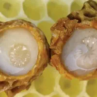 فروش انواع عسل زنبور (کندو و وحشی کوهی)و ژل رویال|خوردنی و آشامیدنی|دهدشت, |دیوار