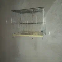 ماهی واکواریوم پمپ تسویه بخاری قفس|ماهی|قزوین, |دیوار