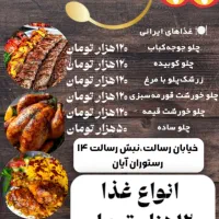 غذا ۱۲۰/ مرغ بریان ۲۷۰