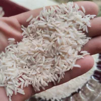 برنج شیرودی ، سورتینگ شده