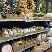 استخدام مدل خانم جهت تولید محتوای اینستا