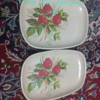 ظروف ملامین|ظروف سرو و پذیرایی|جهرم, |دیوار