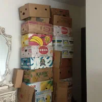 کارتن اسباب کشی