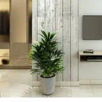 منزل اجاره شهرضا