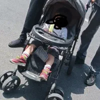 کالسکه،صندلی ماشین،کریر