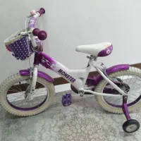 دوچرخه مارک MONSTER