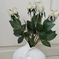 گلدان و گل رز