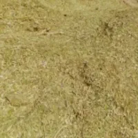 کاه عدس درجه یک  قیمت مناسب