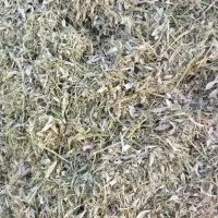 کاه لوبیا|لوازم جانبی حیوانات|قیدار, |دیوار