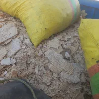 نان|لوازم جانبی حیوانات|بکتاش, |دیوار